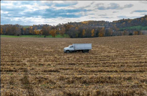 White Stone Trucking 